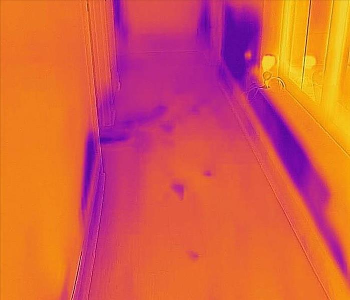 infrared photo of water damage